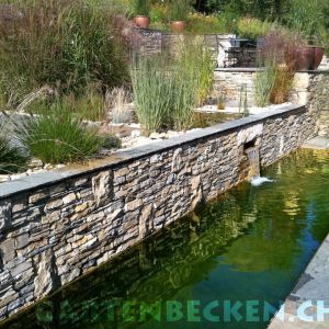 Gartenbecken 045